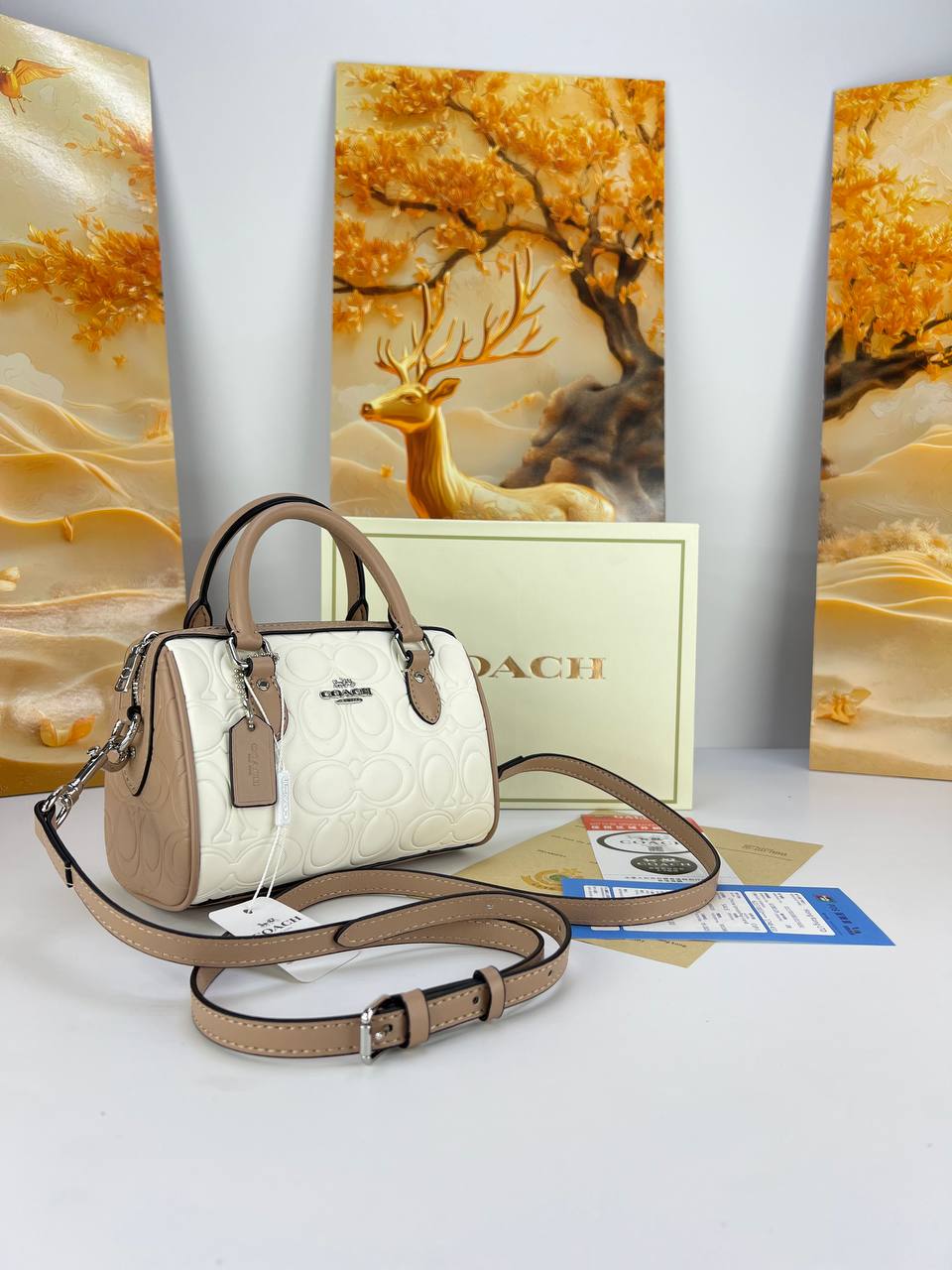 Coach Leather crossbody bag