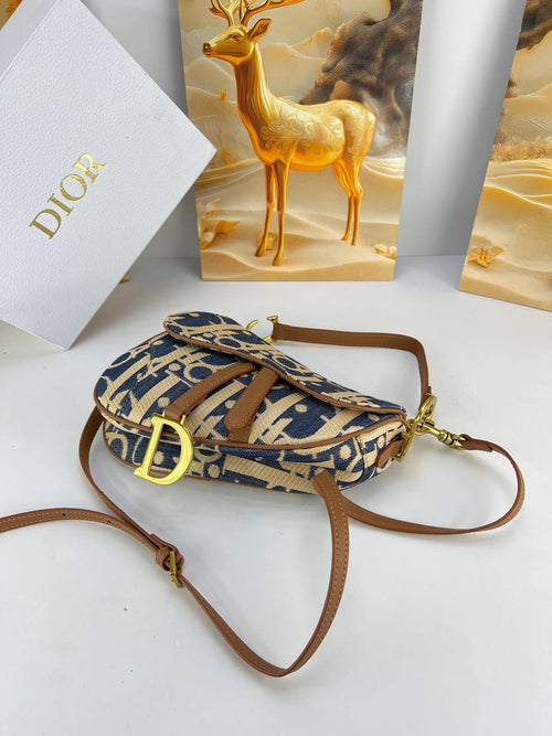 Christian Dior Saddle