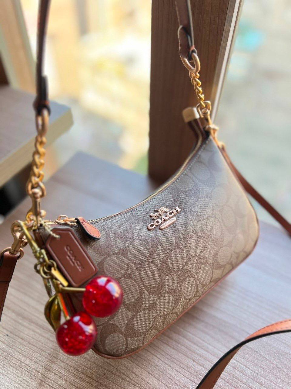Coach Teri Crossbody Bag