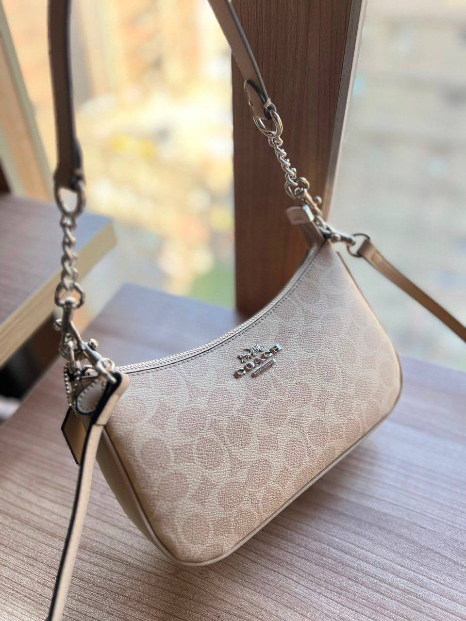 Coach Teri Crossbody Bag