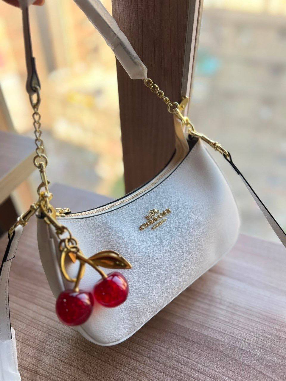 Coach Teri Crossbody Bag