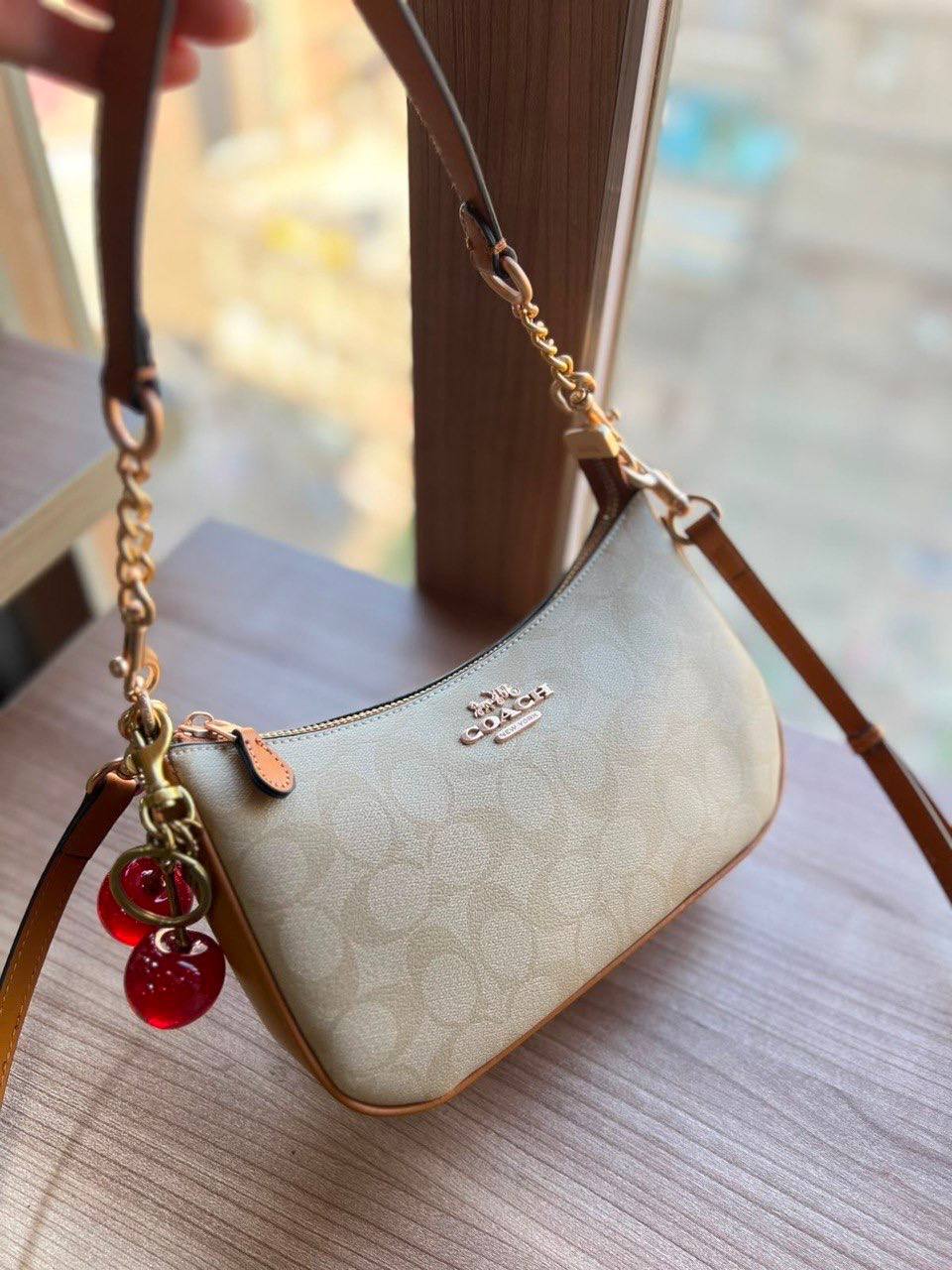Coach Teri Crossbody Bag