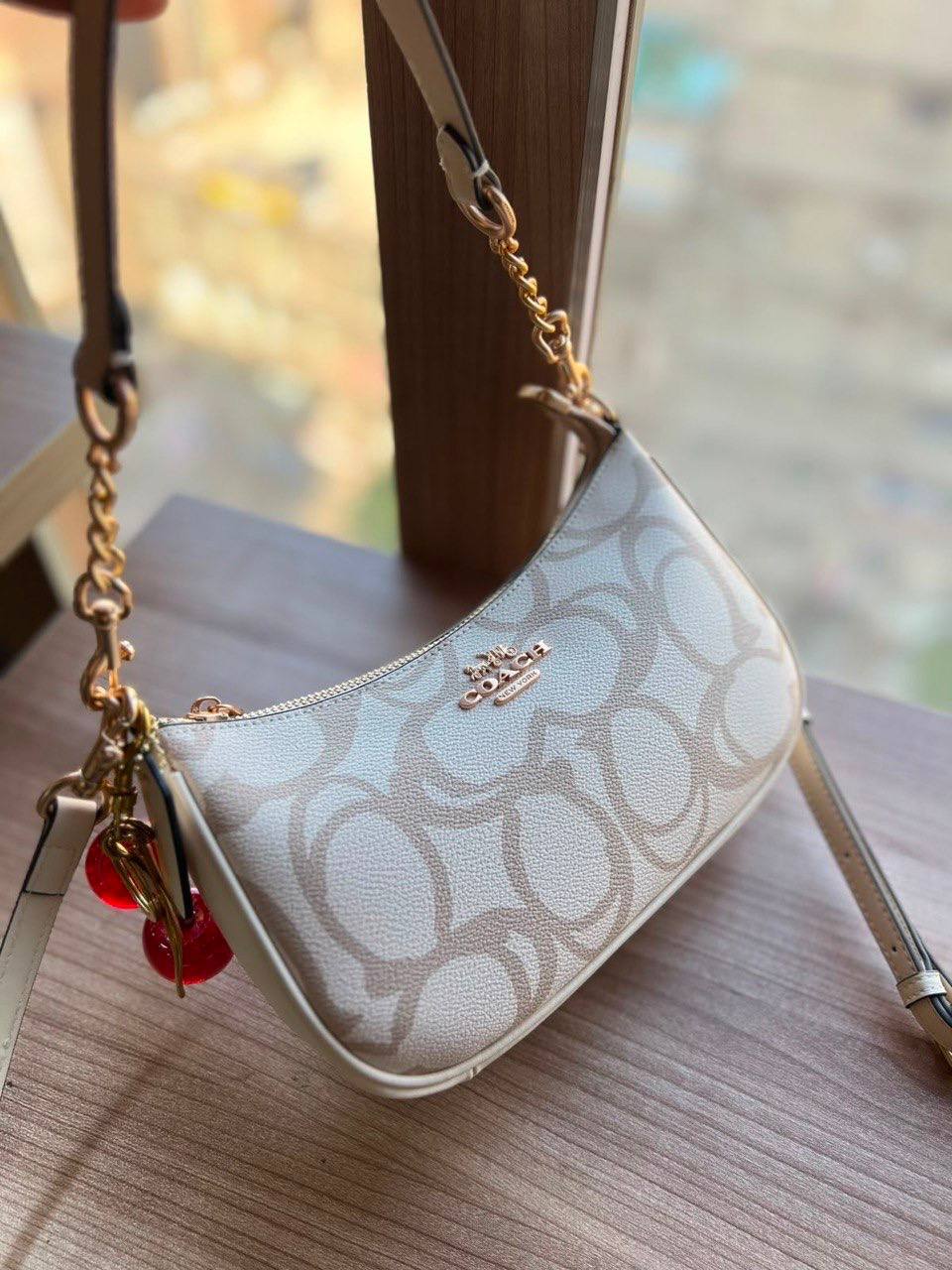 Coach Teri Crossbody Bag