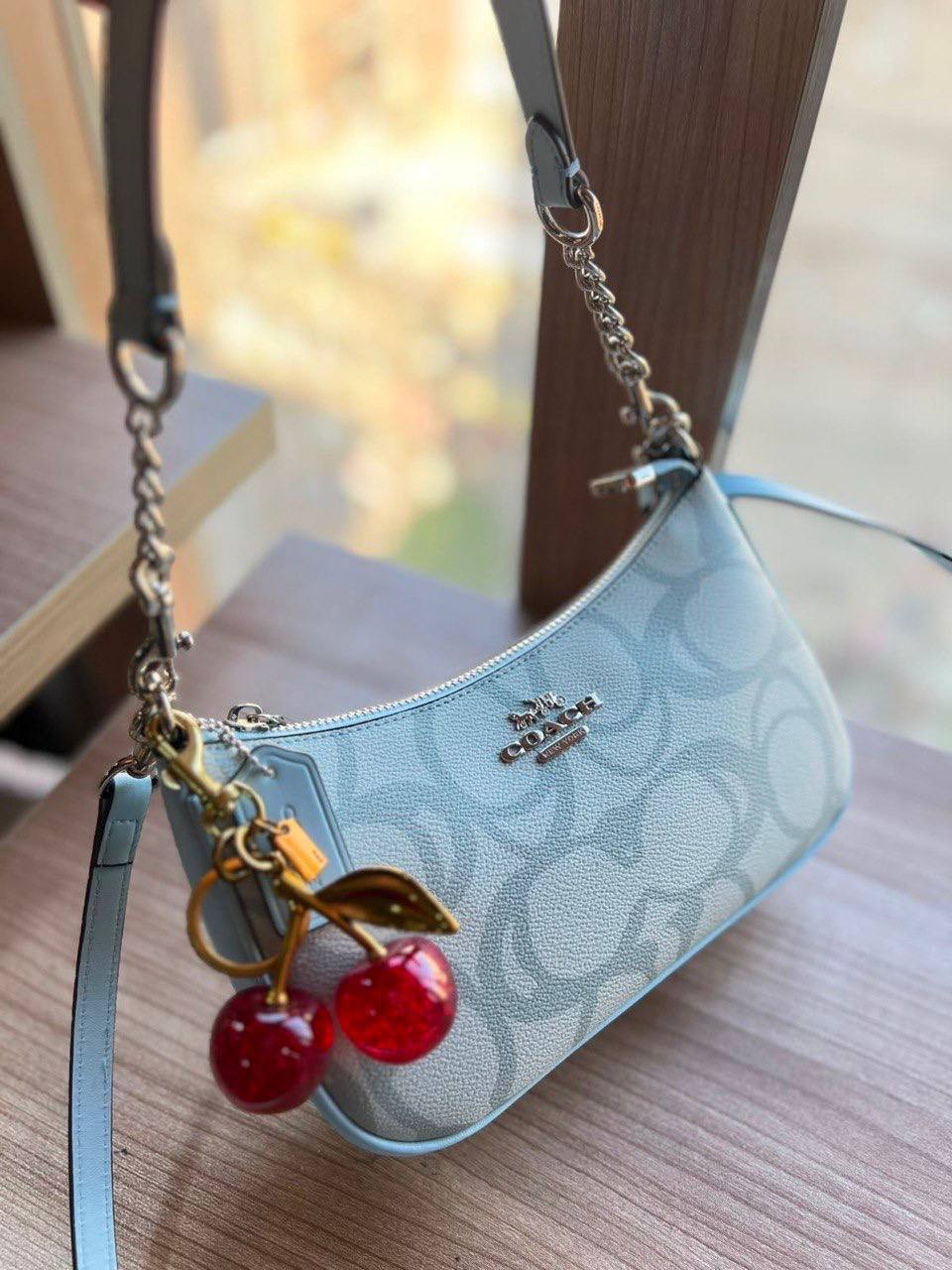Coach Teri Crossbody Bag