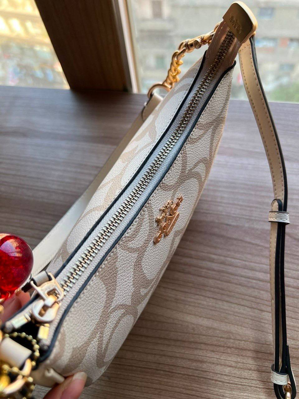 Coach Teri Crossbody Bag