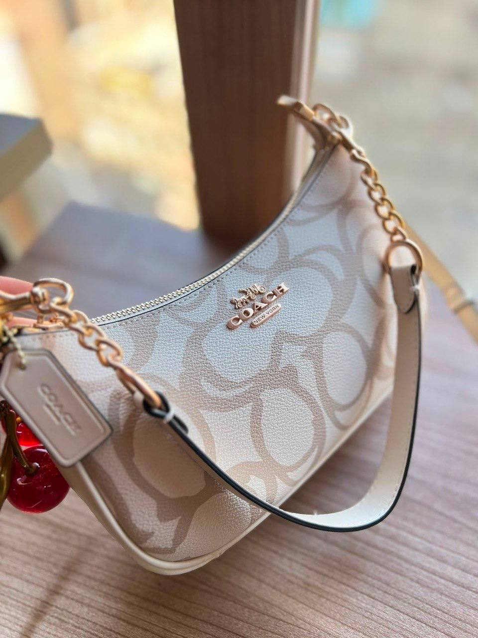 Coach Teri Crossbody Bag
