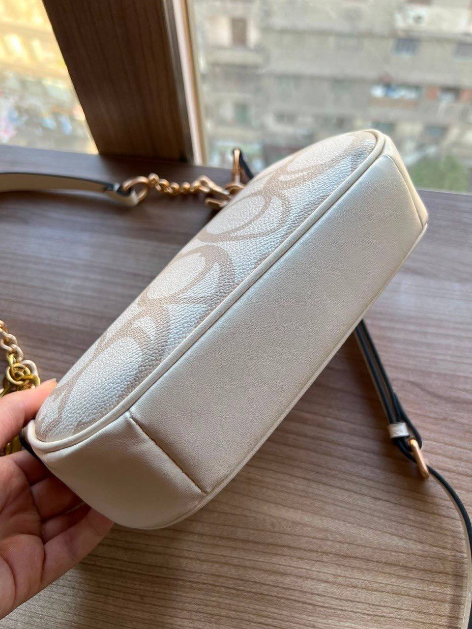 Coach Teri Crossbody Bag