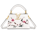 Louis Vuitton Capucines Mini handbag