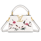 Louis Vuitton Capucines Mini handbag