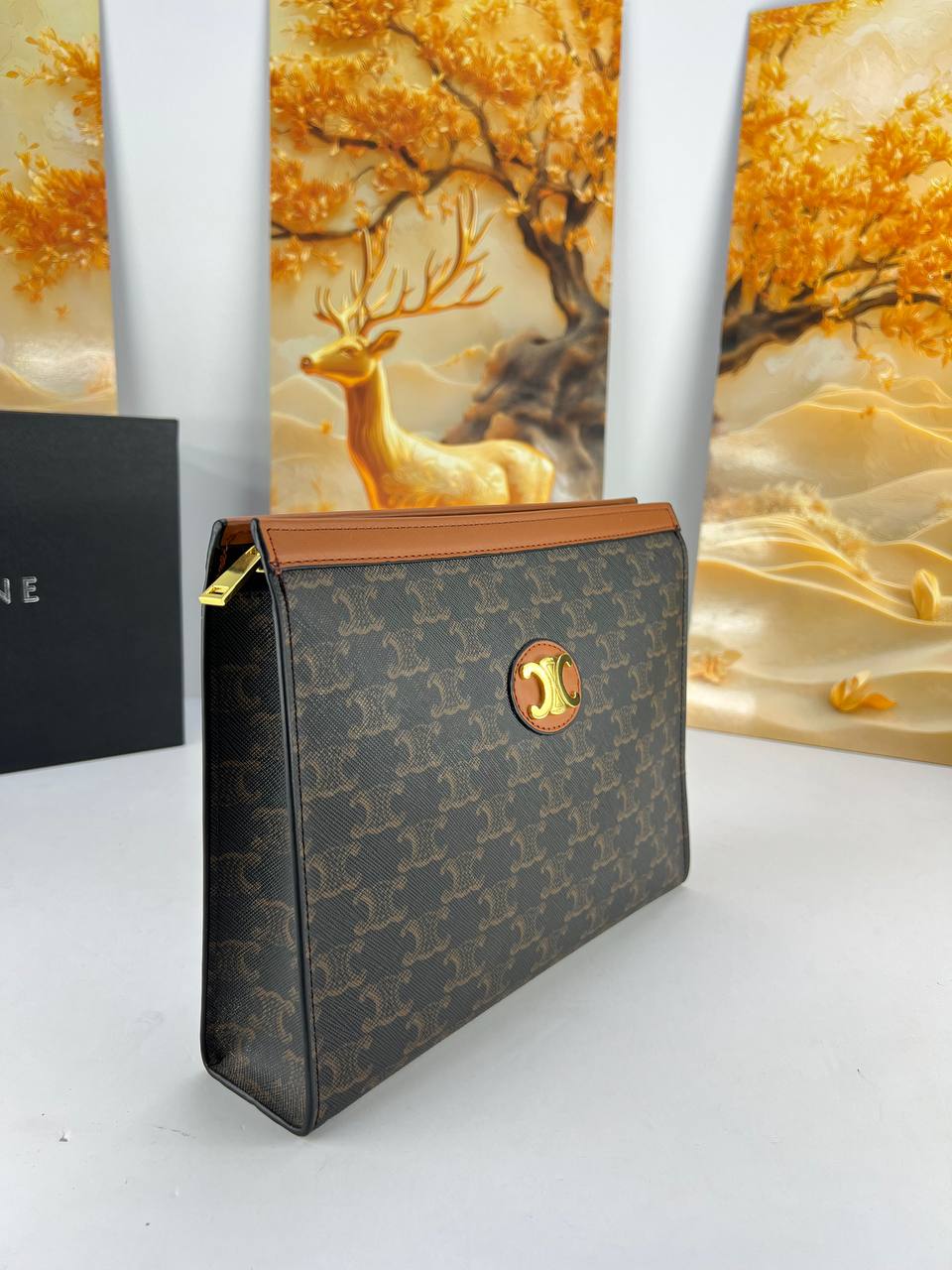 Celine Triomphe Canvas Zipped Pouch