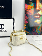 Chanel Quilted Vanity Case with Chain